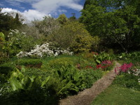 Mount Usher Gardens